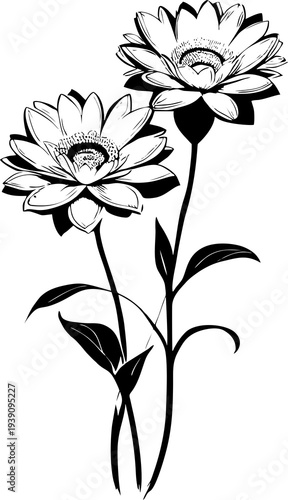 simple black graphic drawing silhouette of flower, logo, design