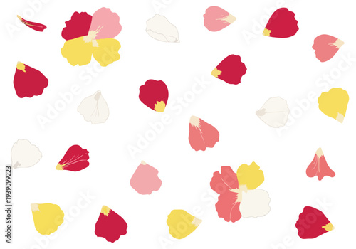 A Vibrant Scattering of Rose Petals in Shades of Red, Pink, and Yellow Scattered Across a White Background