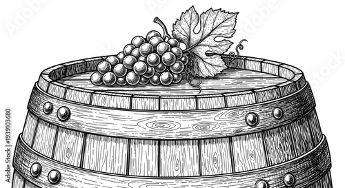 Vintage engraving wooden wine barrel with grape bunch winemaking illustration hand drawn woodcut style winery symbol