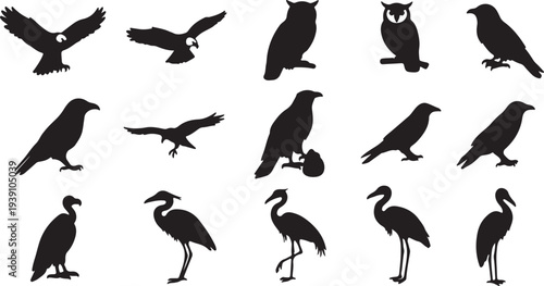 Set of Black Bird Silhouettes. Vector Collection with Eagle, Owl, Raven, Vulture, and Heron. isolated PNG with Transparent Background