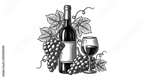 Vintage engraving wine bottle with wine glass and grape bunch detailed winery and viticulture illustration hand drawn classic woodcut style isolated