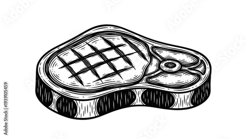 Vintage engraving dragonfly insect detailed symmetrical wings entomology illustration hand drawn natural history woodcut style