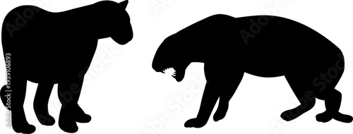 Panthers, tigers silhouette, vector