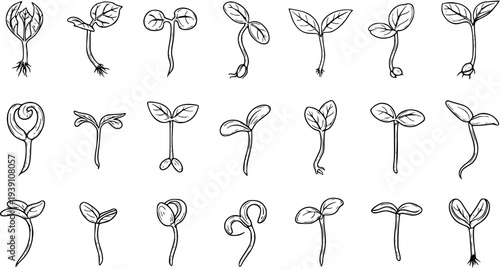Hand-drawn Plant Sprouts and Seedlings Set: Doodle Icons Illustrating Early Growth Stages and Germination
