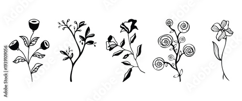 Set of delicate hand-drawn black and white flowers and leafy branches for botanical illustrations and decorative designs.