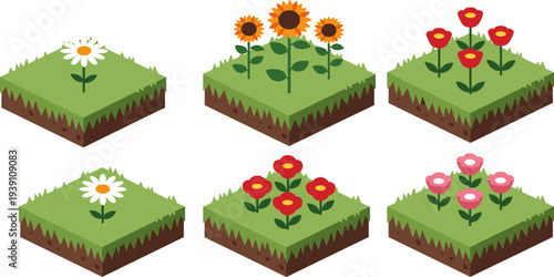 Isometric garden flower beds with daisies, sunflowers and red blossoms on grass soil blocks, spring nature landscaping vector illustration set design