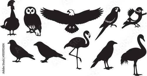 Collection of Black Bird Silhouettes. Various vector icons isolated for design. isolated PNG with Transparent Background
