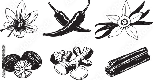Set of 6 spice and herb icons vector