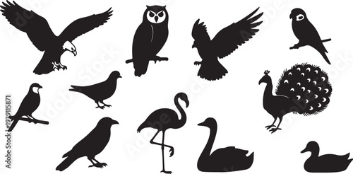 Vector Collection of Black Bird Silhouettes Featuring Diverse Species isolated PNG with Transparent Background