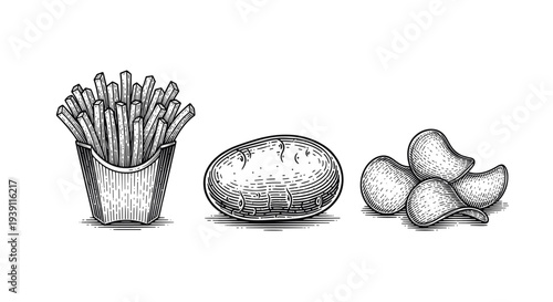 vintage engraving potato products set with french fries whole potato and potato chips detailed hand drawn food illustration in classic woodcut style