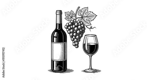 Vintage engraving wine bottle with wine glass and grape bunch detailed winery and viticulture illustration hand drawn classic woodcut style isolated