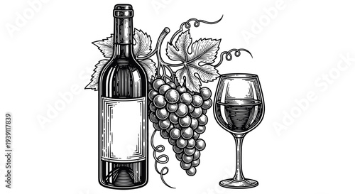 Vintage engraving wine bottle with wine glass and grape bunch detailed winery and viticulture illustration hand drawn classic woodcut style isolated