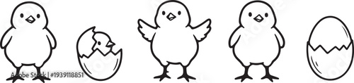 Set of 5 chick icons vector