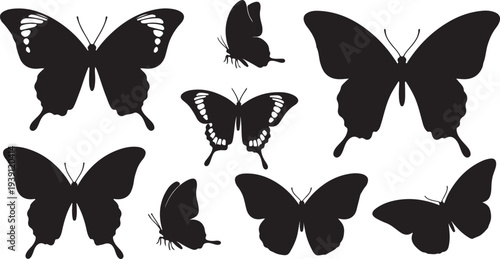 Set of Black Butterfly Silhouettes Vector Graphic isolated PNG with Transparent Background