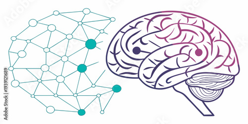 Conceptual illustration of human brain anatomy merging with digital neural network nodes