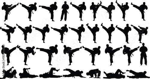Black and white vector silhouette collection of martial arts fighters performing karate kicks, judo throws, and combat sports training poses