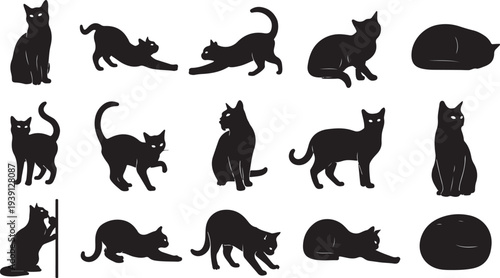 Set of 14 black cat silhouettes vector