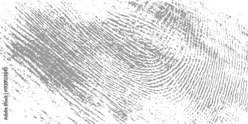 Close up textured grey fingerprint pattern on white background thumbprint whorl loop arch