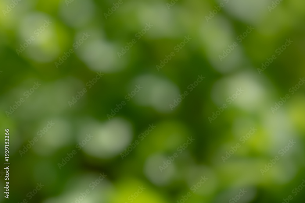 Fototapeta premium Blurred green foliage creating a soft natural background with circular bokeh highlights, smooth abstract nature texture with vibrant fresh tones.