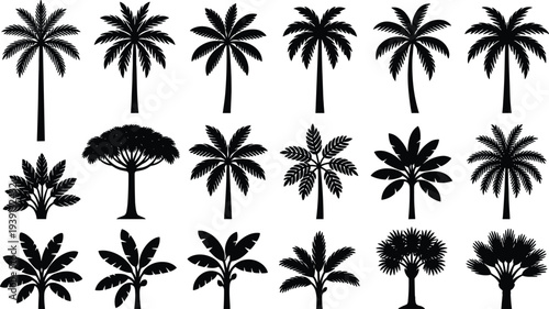 Tropical tree silhouettes, palm trees, banana plants, exotic flora, botanical illustration, landscape design, tropical forest art, nature elements, jungle vegetation, greenery
