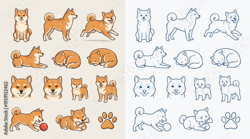 Collection of Shiba Inu dog illustrations in various poses and expressions, both in full color and line art.