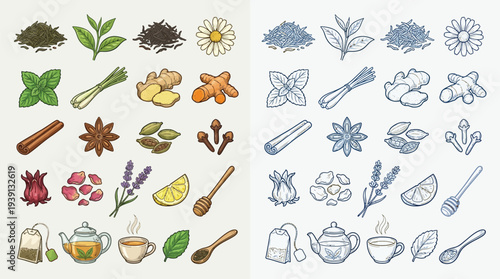 A vibrant collection of colorful illustrations depicting various tea ingredients, brewing tools, and finished tea beverages.