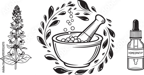 Homeopathy Natural Medicine Vector Icon Set. Herbal Plant, Mortar Pestle, Dropper Bottle Illustration.