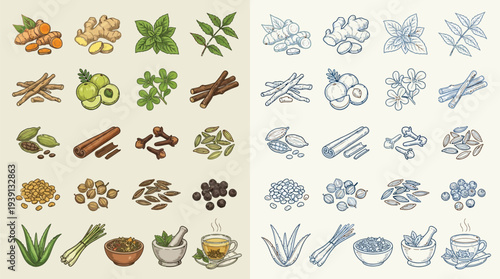 Collection of colorful and line-art illustrations of various herbs, spices, and medicinal plants, including ginger, turmeric, cinnamon, and aloe vera, presented in a grid format.