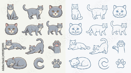 Collection of stylized illustrations of a gray cat in various poses, including sitting, standing, stretching, and sleeping, along with paw prints and a letter C.
