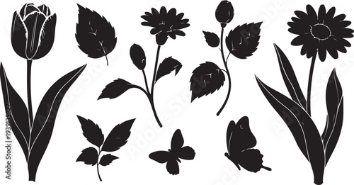 Black Silhouettes of Flowers and Leaves on White Background