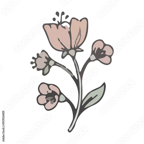 Vintage Botanical Flower Illustration