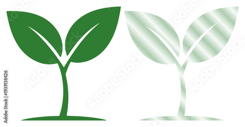 Two green sprouts symbolizing growth and new beginnings against a white background