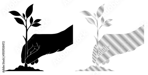 Gentle hand planting a small seedling, symbolizing growth and new beginnings.