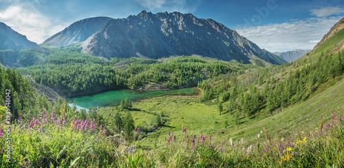 Fotografie Mountain valley with a lake on a summer day, flowering meadow