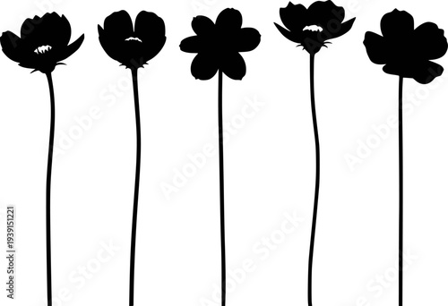 Black silhouette flower stems with delicate petals isolated a white background