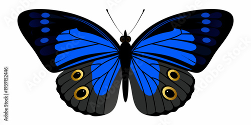 A vibrant blue morpho butterfly with detailed wing patterns is displayed