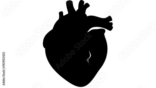 Human Heart Black Silhouette PNG, Internal Organ Silhouette
