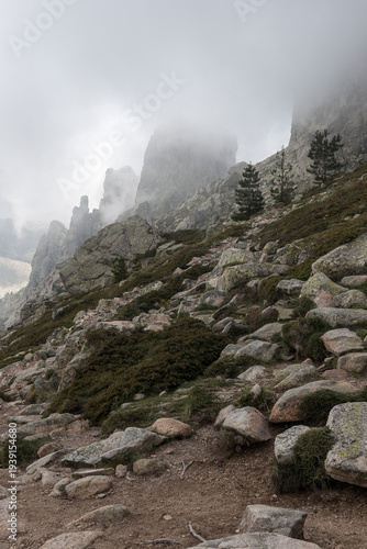 CORSE - Massif de Bavella