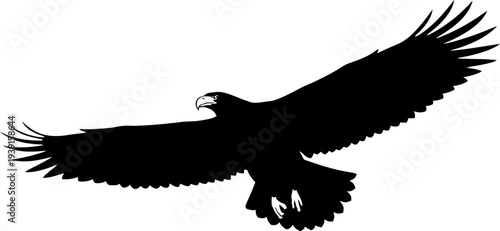 Soaring Eagle Silhouette