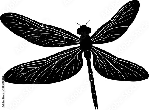 Dragonfly Silhouette