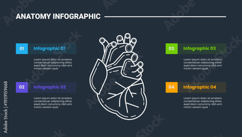 Human body anatomy infographic process diagram with human heart center position with rectangle transparent badge header with dark background bright outline style 4 points