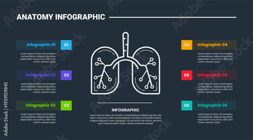 Human body anatomy infographic process diagram with human lungs center with transparent header badge on left and right side with dark background bright outline style 6 points