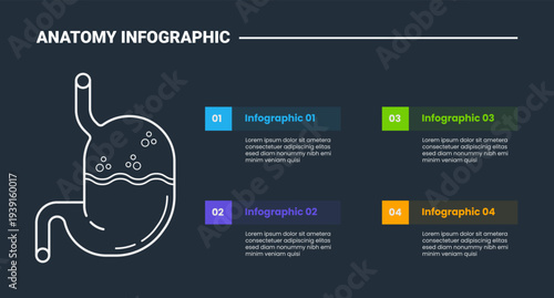 Human body anatomy infographic process diagram with stomach or gastric on left with description on right column with dark background bright outline style 4 points