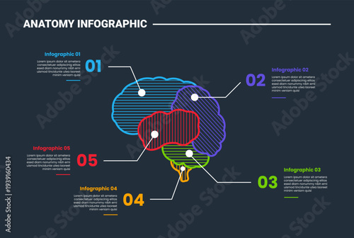 Human body anatomy infographic process diagram with human brain simple shading style with line pointer on each parts with dark background bright outline style 5 points