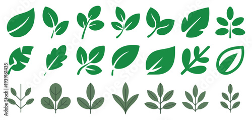 Assorted green plant leaves collection vector illustration vector illustration eps 10 