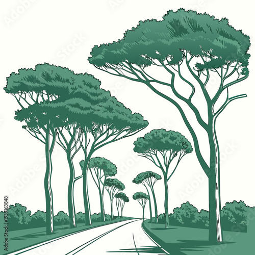 Of endless road flanked by tall trees desert road trees on roadside
