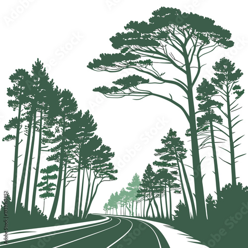 Showing endless desert road flanked by tall trees endless road