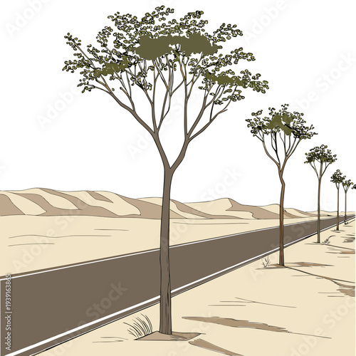 Desert road with trees and sand dunes landscape