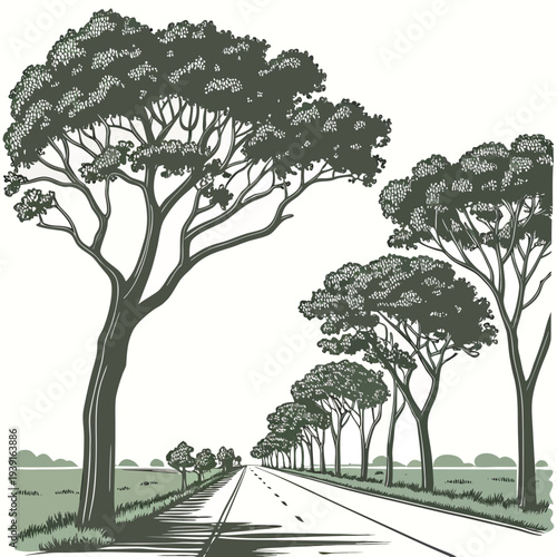 Showing endless desert road flanked by trees endless road