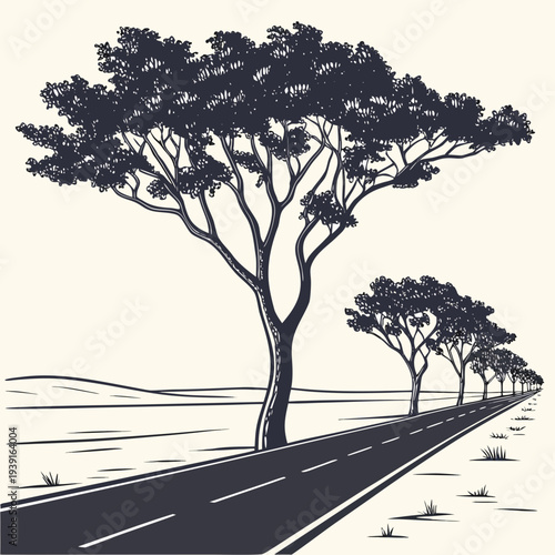 Desert road corridor with trees plants grass